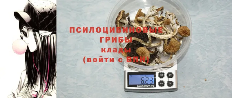 Галлюциногенные грибы MAGIC MUSHROOMS  Заречный 